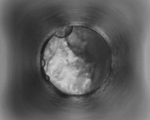 X0000096160346200802151419