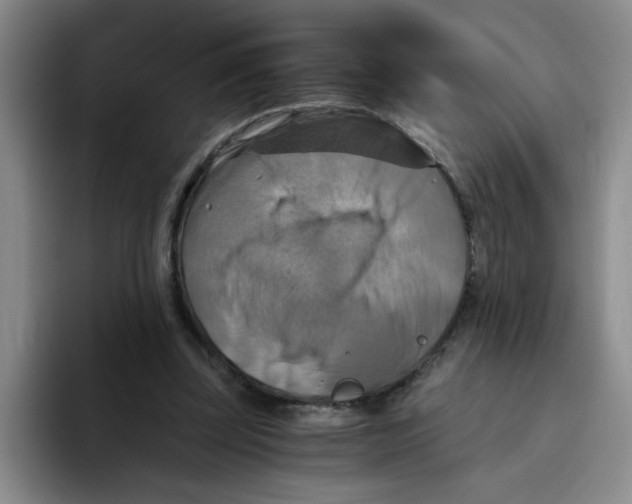 X0000096160347200802151419