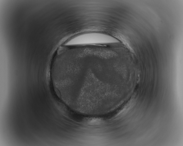 X0000096160348200802151419