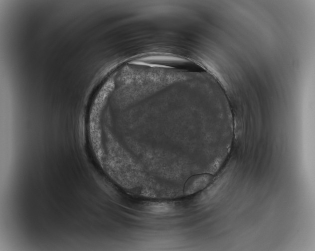 X0000096160349200802151419