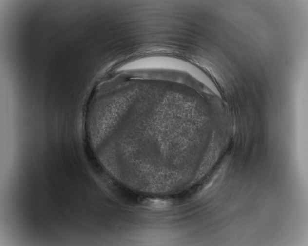 X0000096160352200802151419