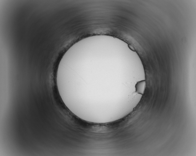 X0000096160354200802151419