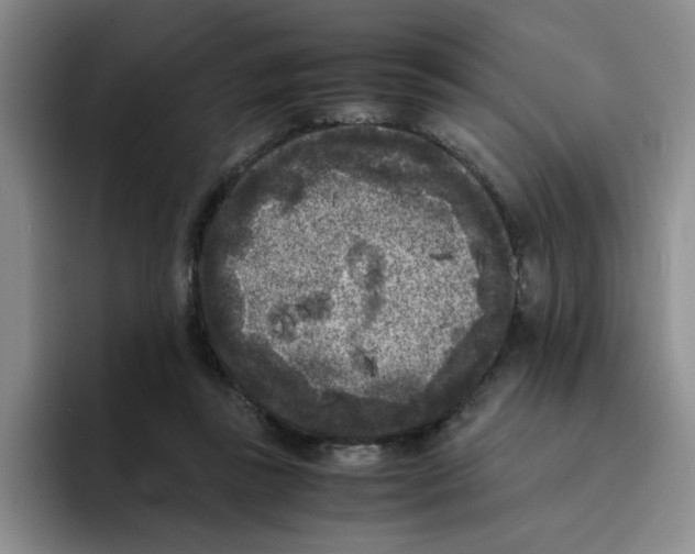 X0000096160355200802151419