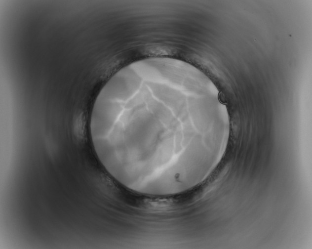 X0000096160359200802151419