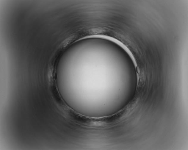 X0000096160360200802151419