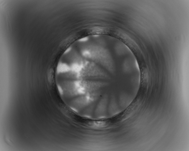 X0000096160361200802151419