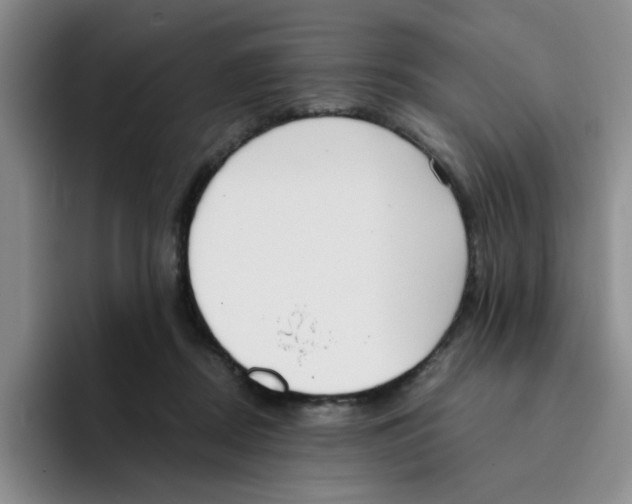 X0000096160362200802151419