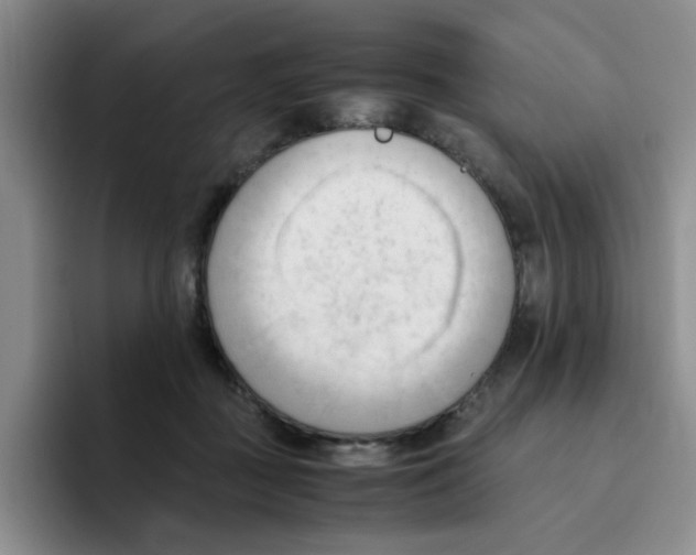 X0000096160363200802151419