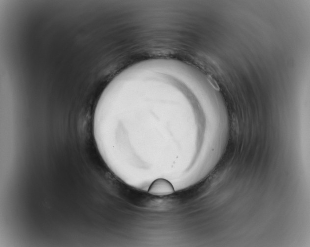 X0000096160364200802151419