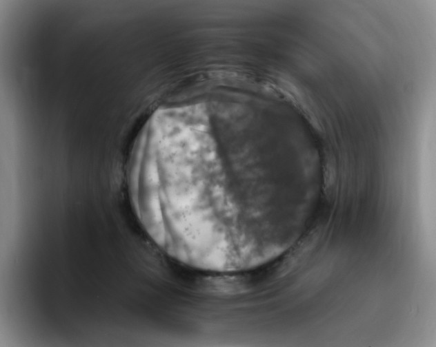 X0000096160367200802151419