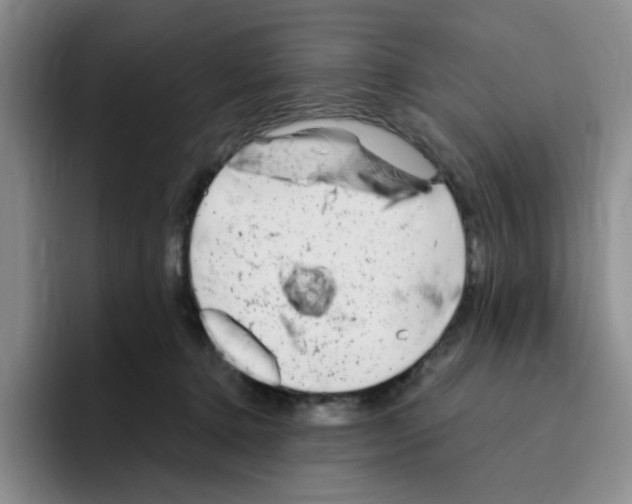 X0000096160368200802151419