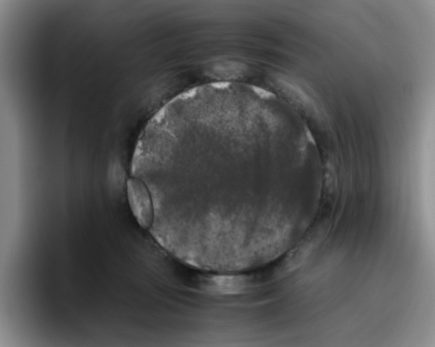 X0000096160371200802151419