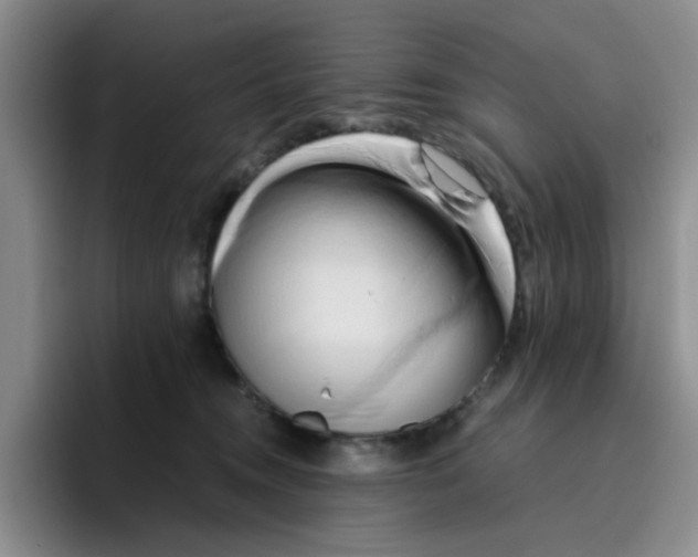 X0000096160372200802151419