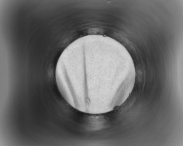 X0000096160375200802151419