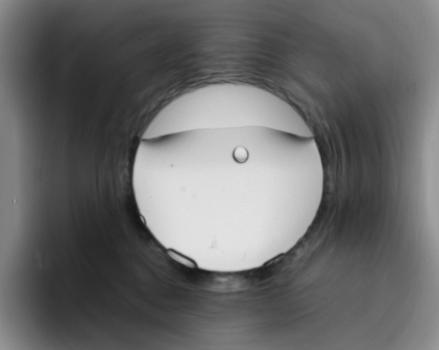 X0000096160376200802151419