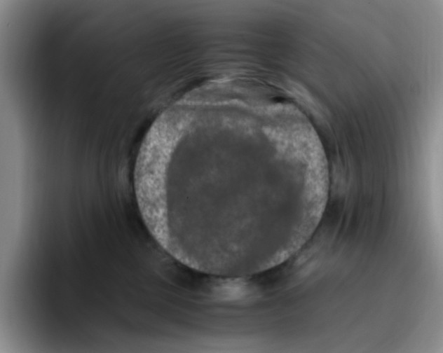 X0000096160377200802151419