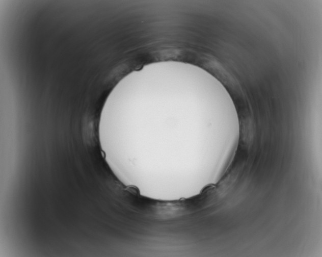 X0000096160378200802151419