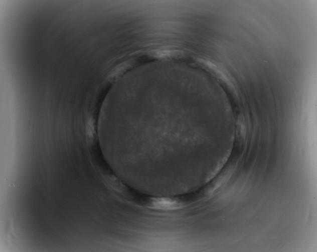 X0000096160380200802151419