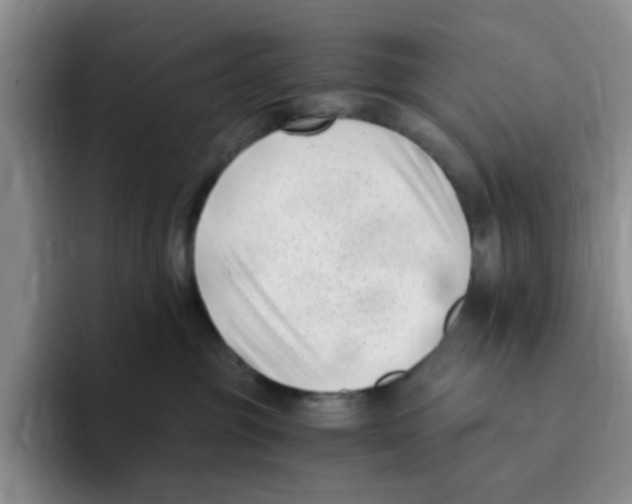 X0000096160381200802151419