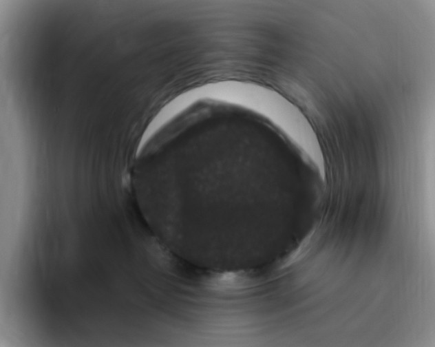 X0000096160382200802151419