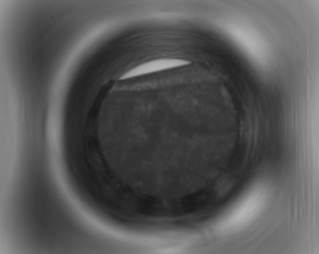 X0000096160383200802151420