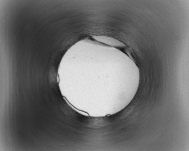 X0000096160384200802151420