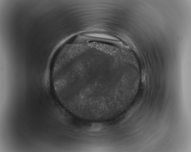 X0000096160388200802151419