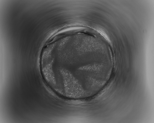 X0000096160389200802151419