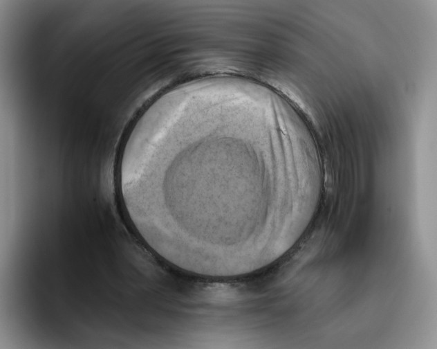 X0000096160390200802151419