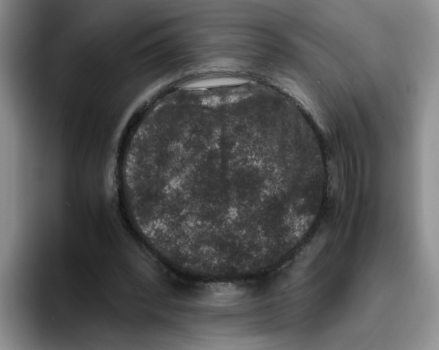 X0000096160392200802151419