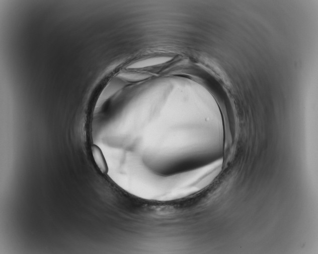 X0000096160395200802151419