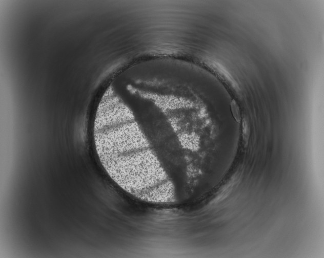 X0000096160396200802151419