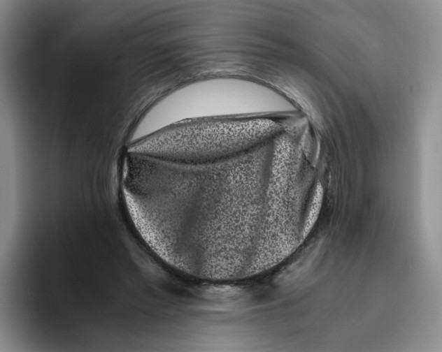 X0000096160397200802151419