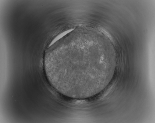 X0000096160401200802151419