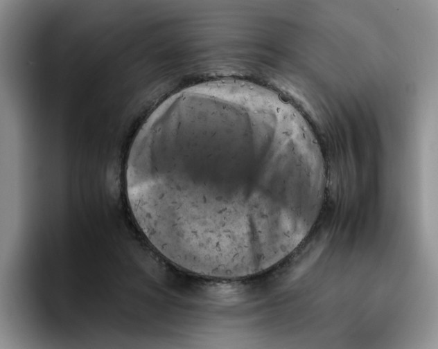 X0000096160402200802151419