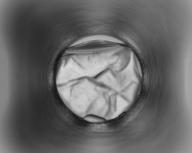 X0000096160403200802151419