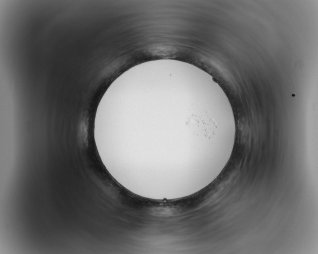 X0000096160404200802151419