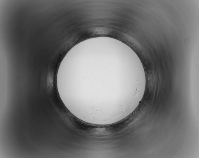 X0000096160406200802151419