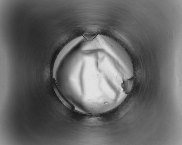 X0000096160407200802151419