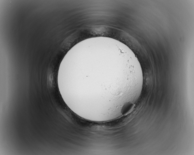 X0000096160408200802151419