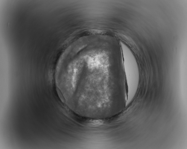 X0000096160409200802151419