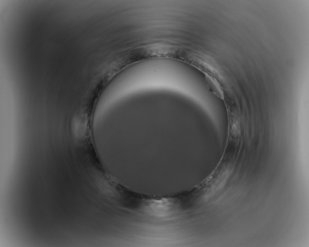 X0000096160411200802151419