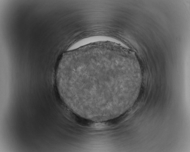 X0000096160413200802151419