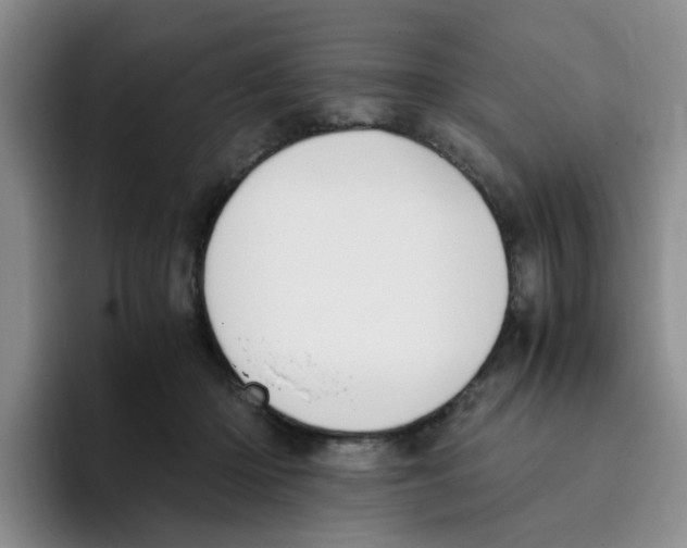 X0000096160414200802151419