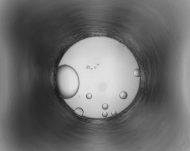 X0000096160416200802151418