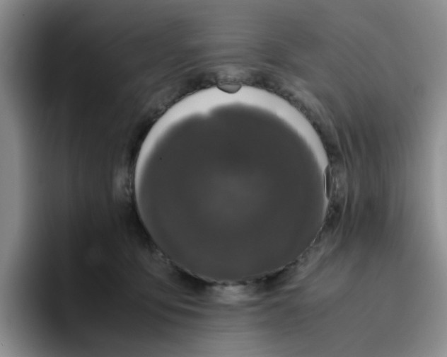 X0000096160419200802151418