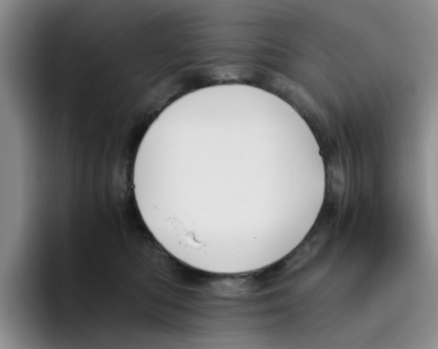 X0000096160422200802151418