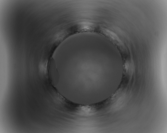 X0000096160423200802151418