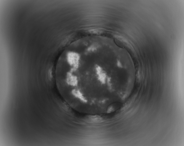 X0000096160424200802151418