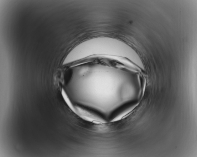 X0000096160425200802151418